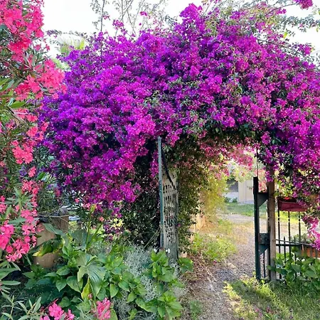 Apartman Dans A Ouest Nizza