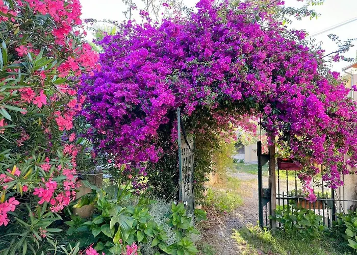 Apartamento Dans à Ouest Nice